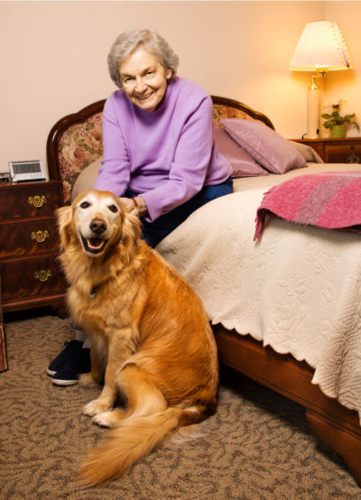 Animal-Assisted Therapy - Mentis Napa